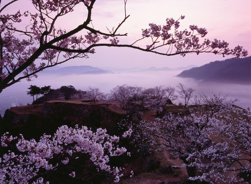 En Takeda Castle Town Hotel Asago Exterior photo